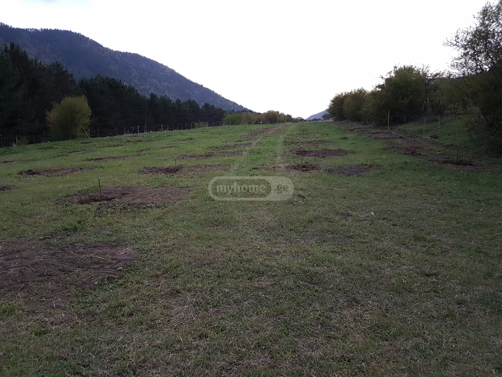 For Sale Sasoplo-Sameurneo Land Plot Borjomis Munitsipalitetshi view 1