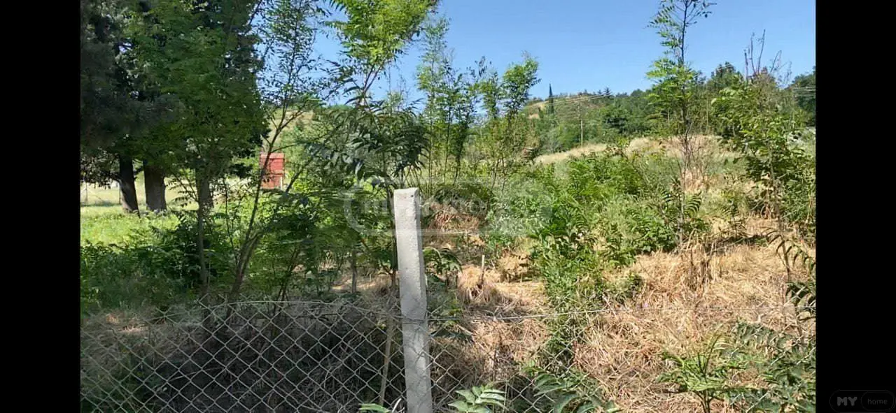 For Sale Ara Sasoplo-Sameurneo Land Plot In Didi Dighomi view 8