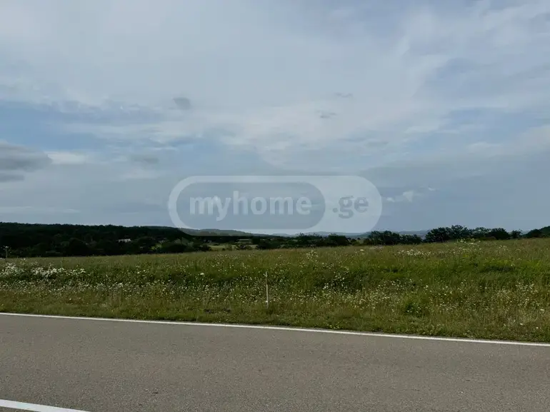 Продажа Земля / участок в Tetritsqaroshi view 3