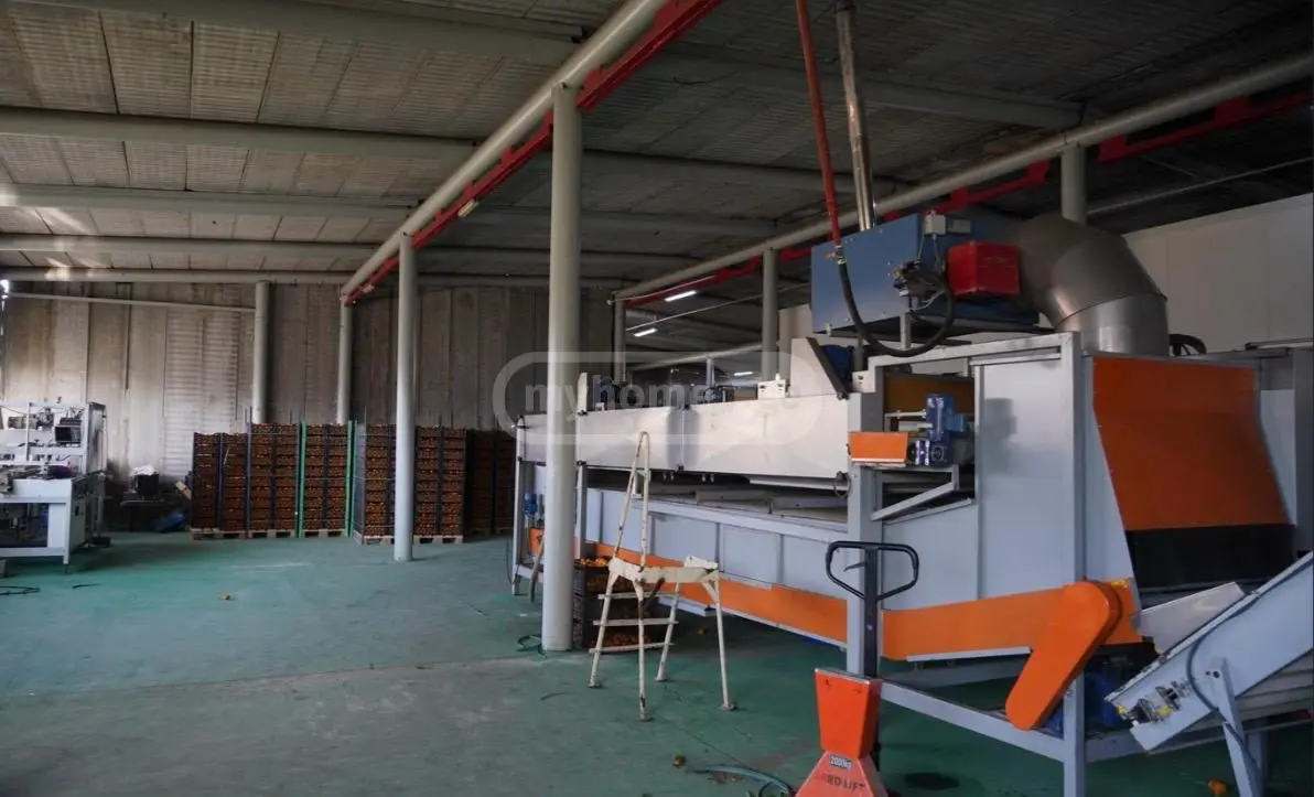 For Sale Satsarmoo Commercial Space Ozurgetis Munitsipalitetshi view 3