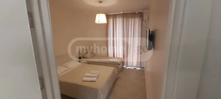 Daily Rent 5 Room Country House Ozurgetis Munitsipalitetshi view 9