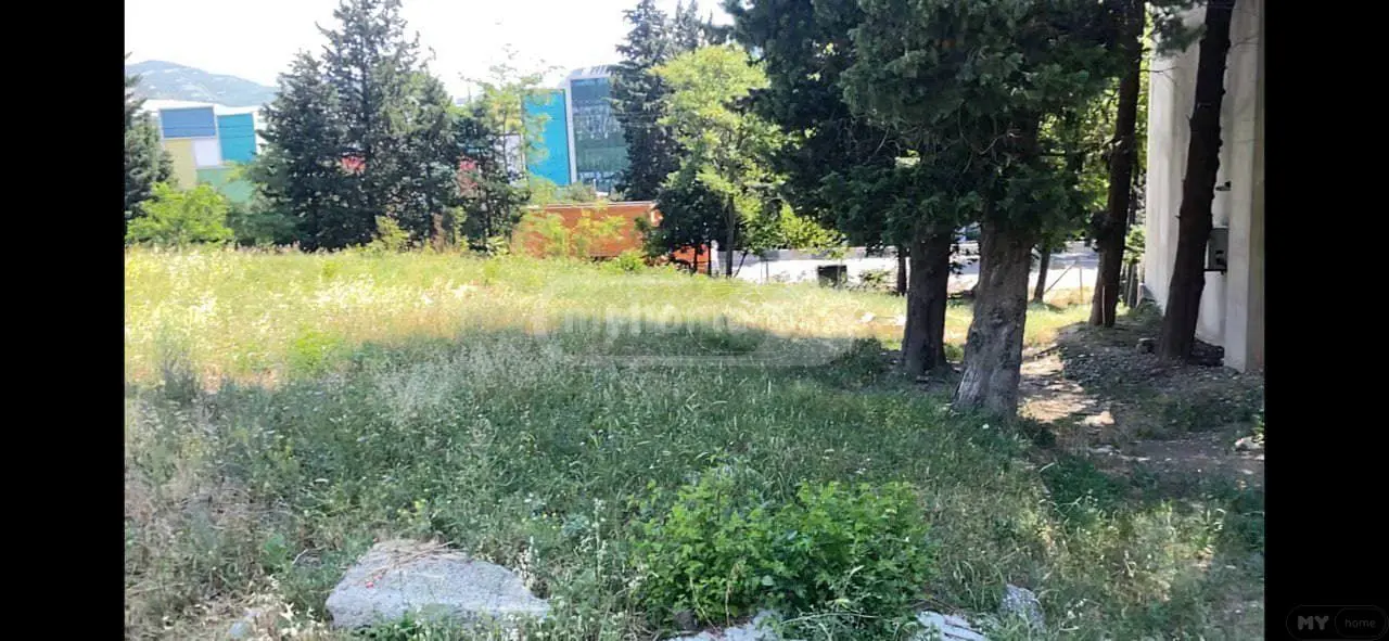For Sale Ara Sasoplo-Sameurneo Land Plot In Didi Dighomi view 6