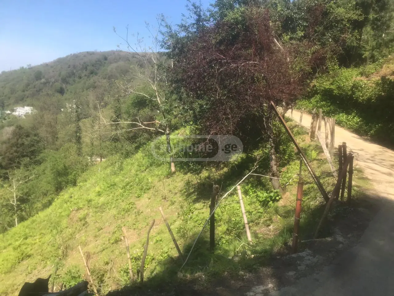 For Sale Sasoplo-Sameurneo Land Plot Khelvachauris Munitsipalitetshi view 2