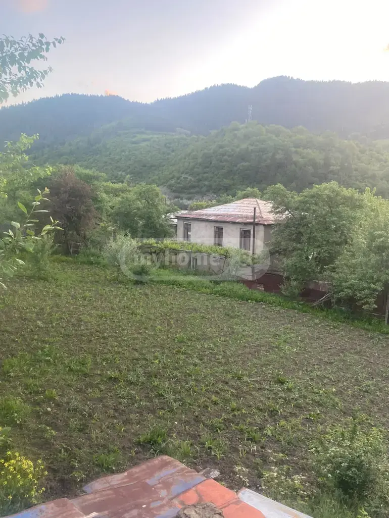 For Sale Sasoplo-Sameurneo Land Plot Borjomshi view 1