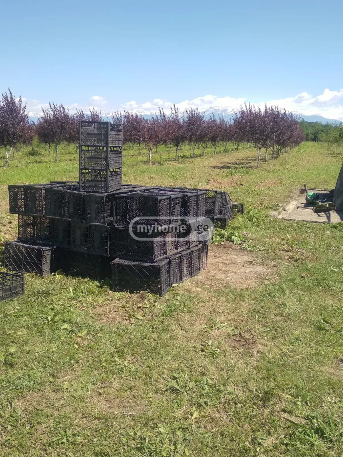 Продажа Земля / участок в Senakshi view 15