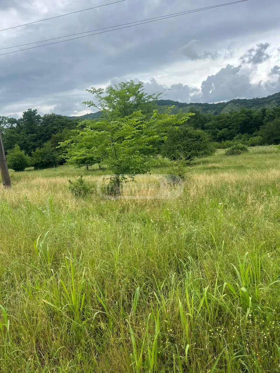 For Sale Sainvestitsio Land Plot Qvarlis Munitsipalitetshi view 3
