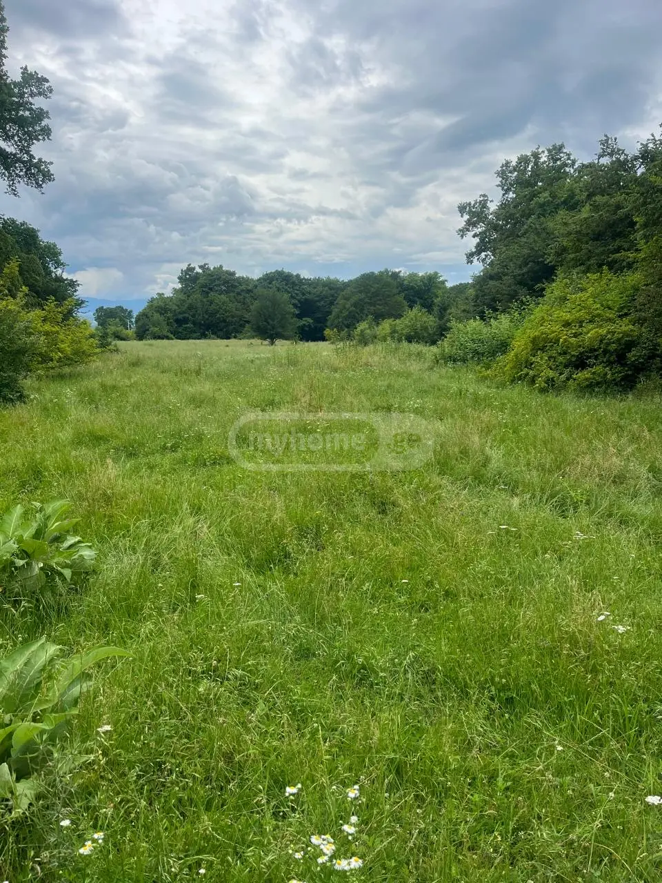 For Sale Sainvestitsio Land Plot Qvarlis Munitsipalitetshi view 4