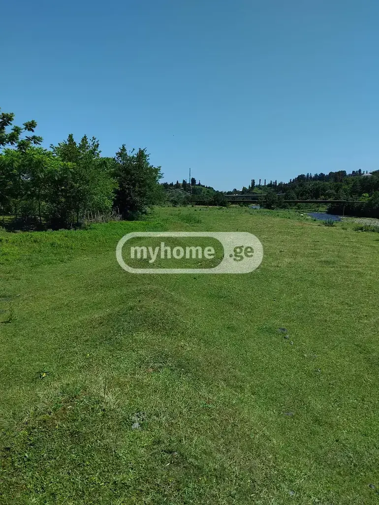 For Sale Sasoplo-Sameurneo Land Plot Kobuletis Munitsipalitetshi view 2