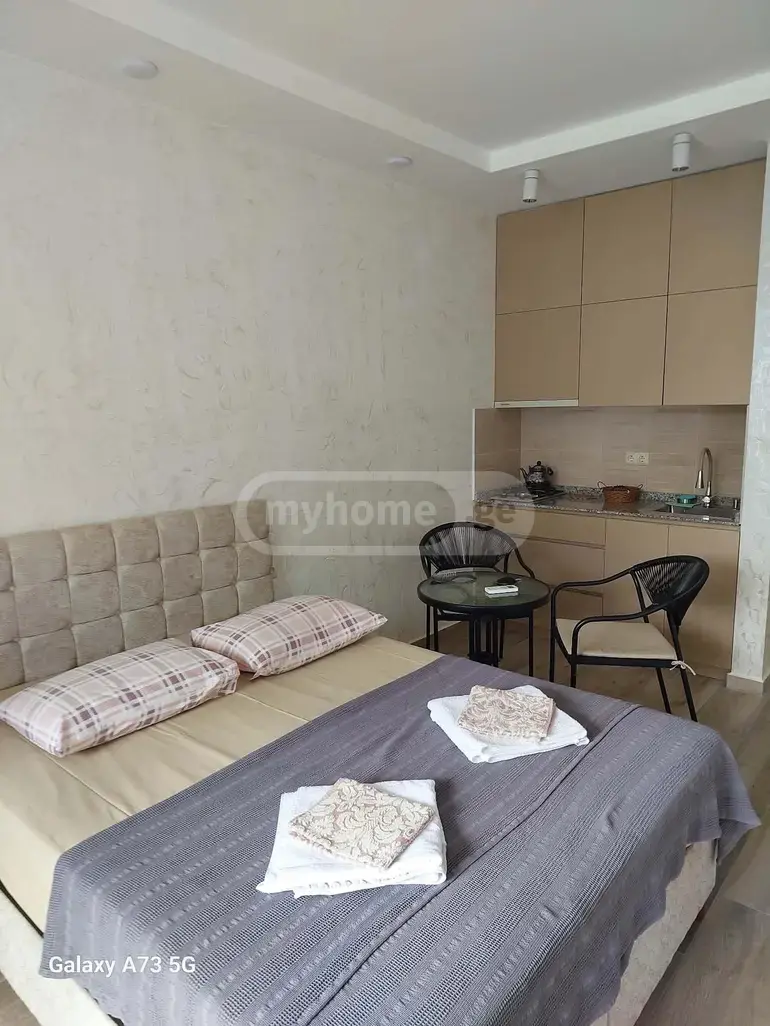 Daily Rent 1 Room Apartment Khelvachauris Munitsipalitetshi view 5