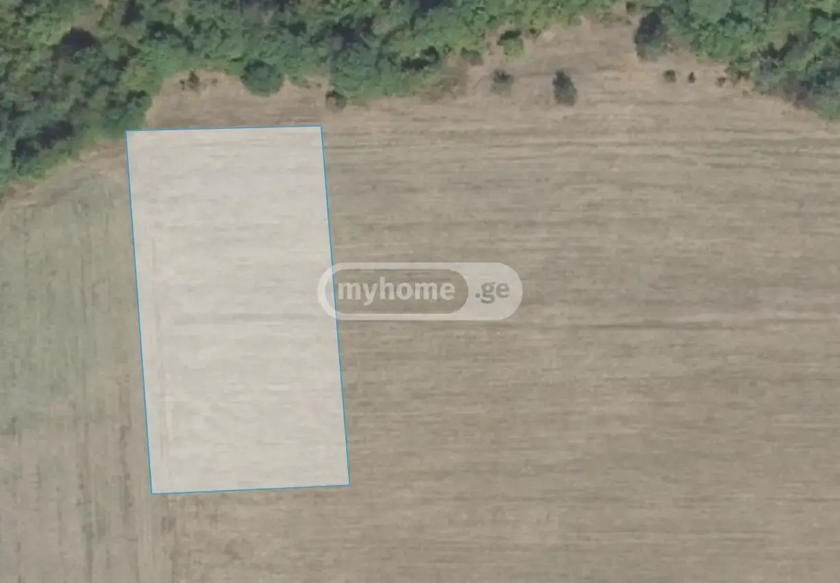 For Sale Sasoplo-Sameurneo Land Plot Tianetis Munitsipalitetshi view 2