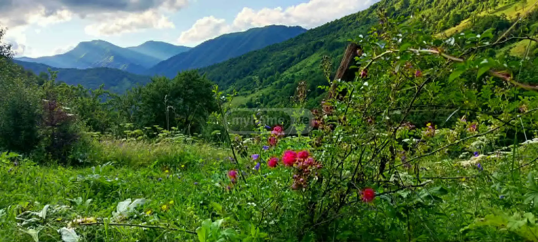 For Sale 5 Room Country House Dushetshi view 2