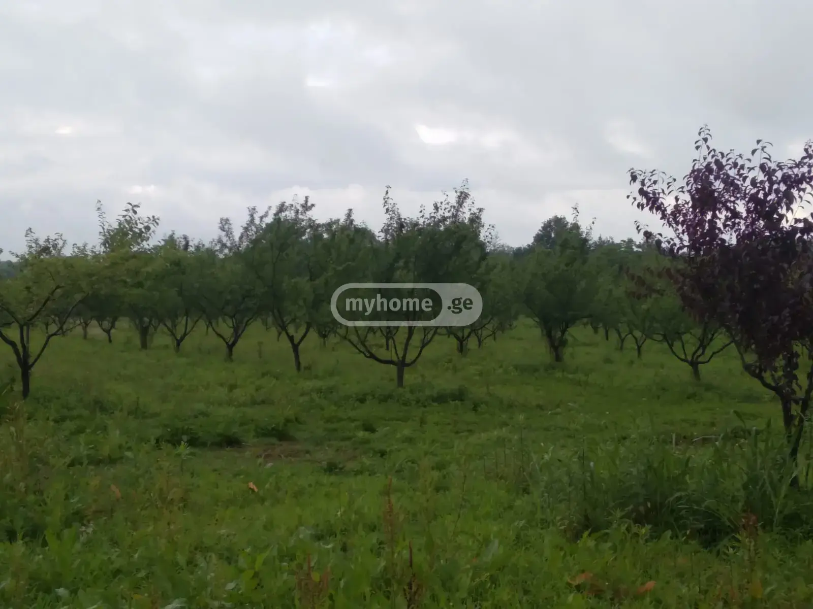 Продажа Земля / участок в Senakshi view 14