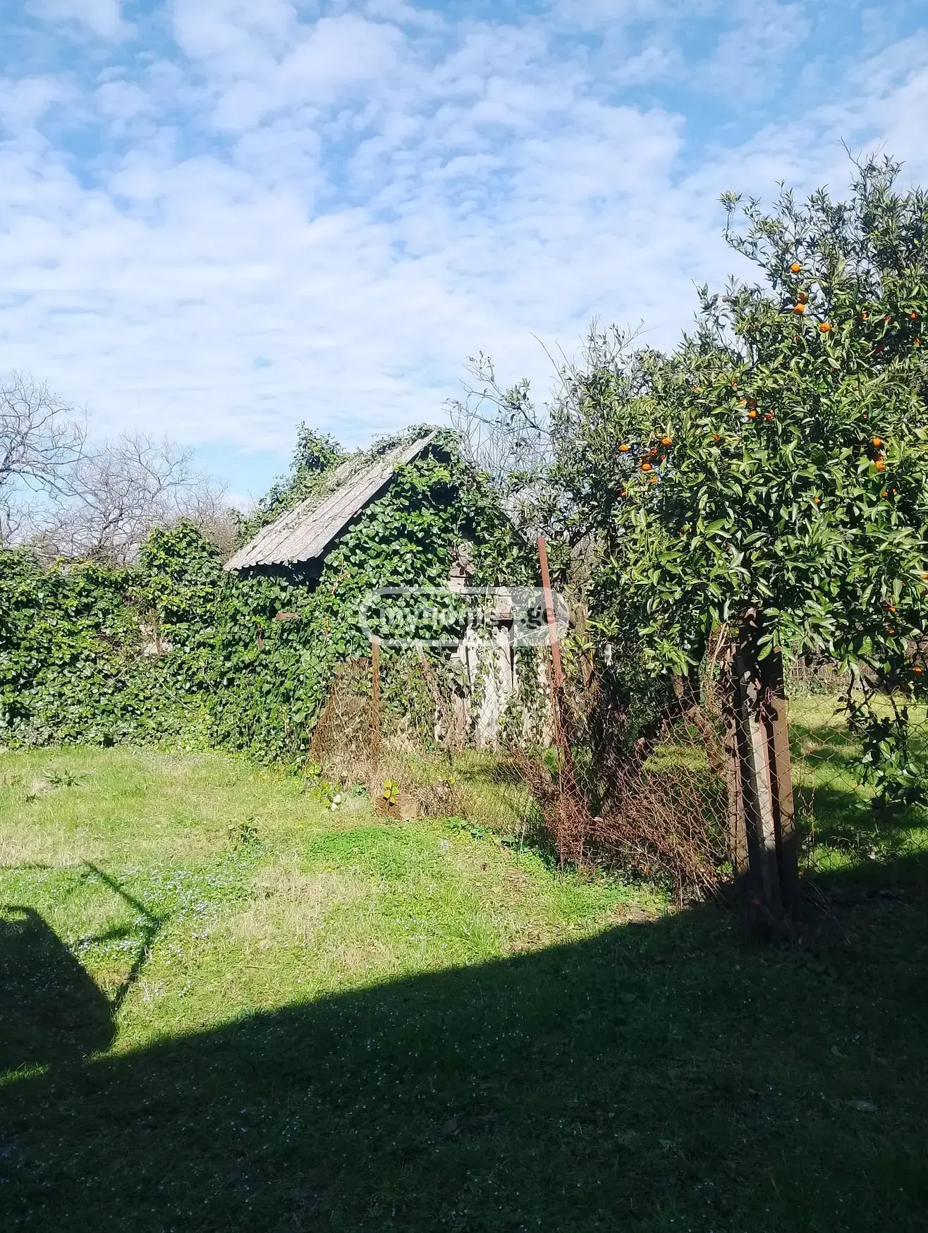 For Rent 5 Room Private House Potshi view 12