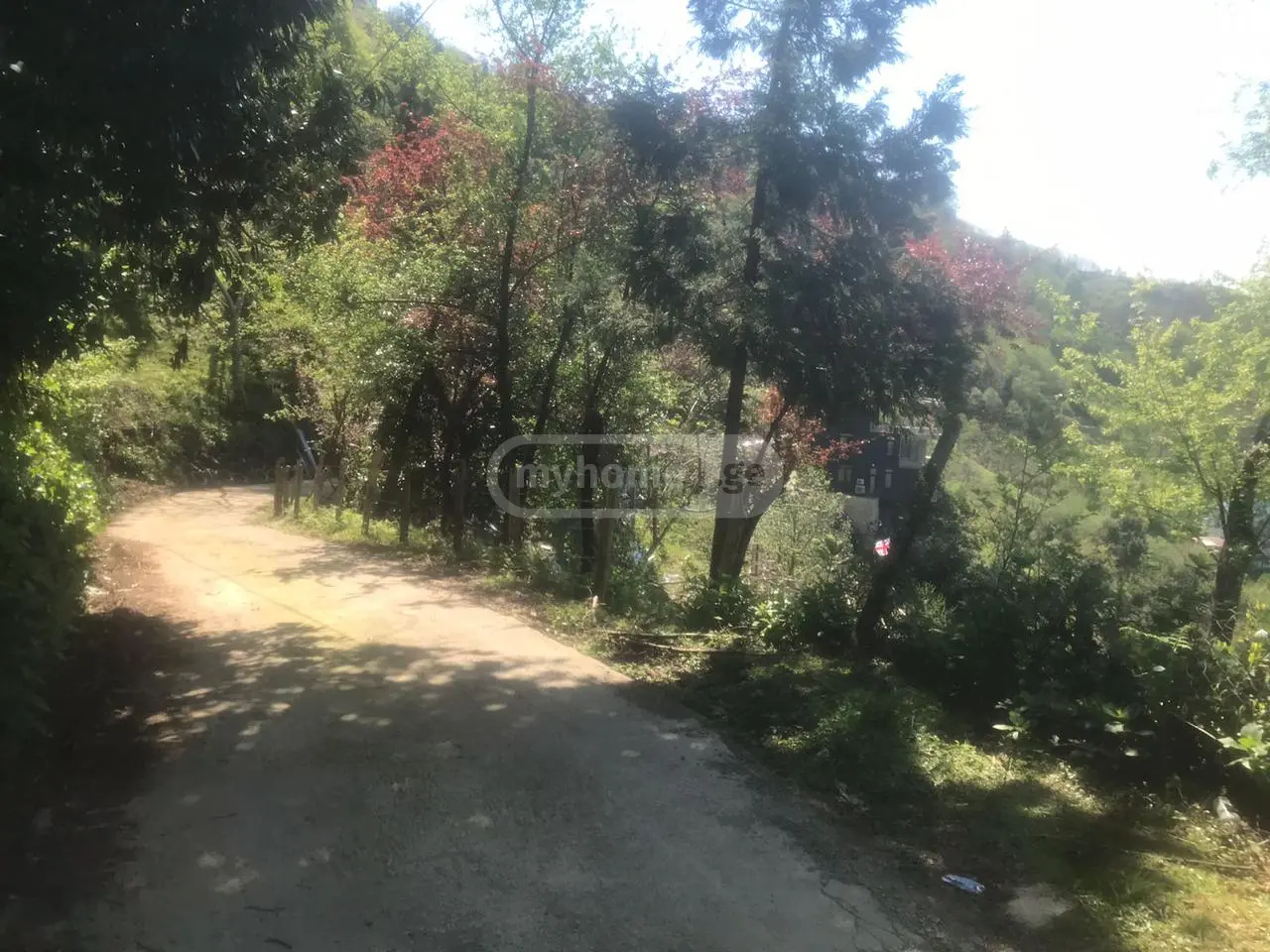 For Sale Sasoplo-Sameurneo Land Plot Khelvachauris Munitsipalitetshi view 5
