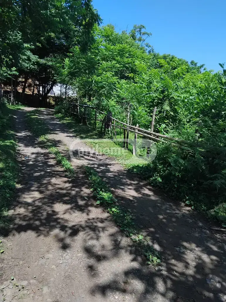 For Sale Sasoplo-Sameurneo Land Plot Kobuletis Munitsipalitetshi view 5