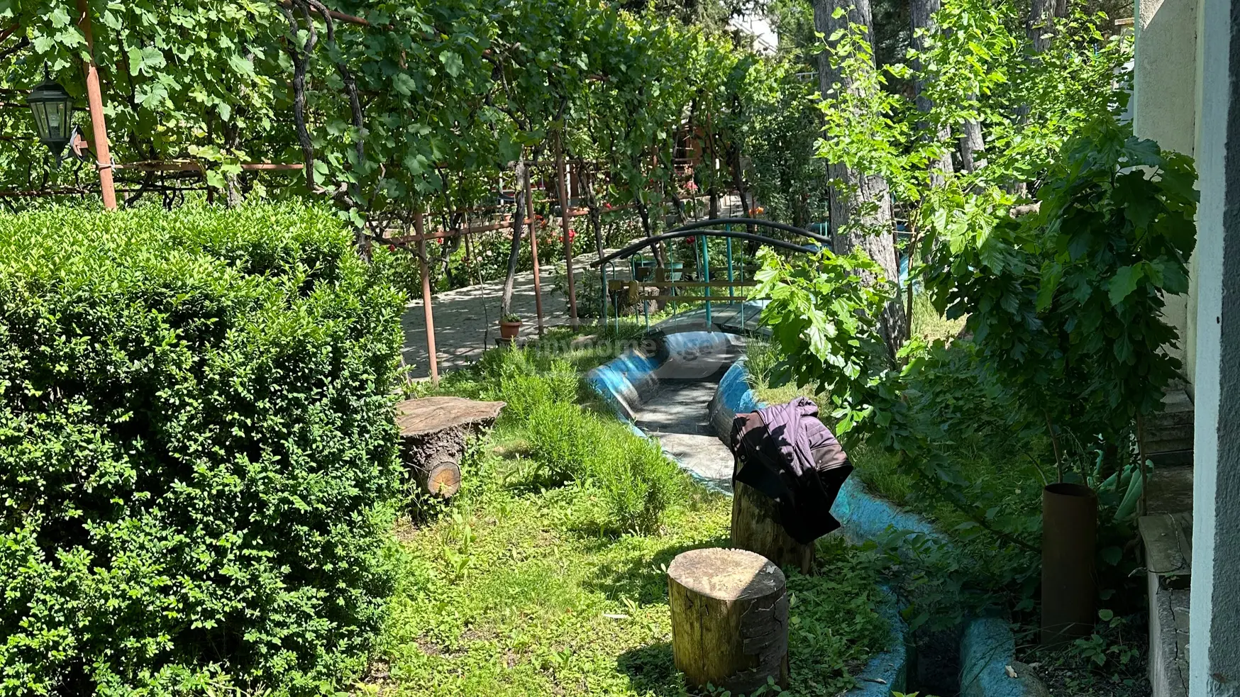 Daily Rent 8 Room Country House Gorshi view 10