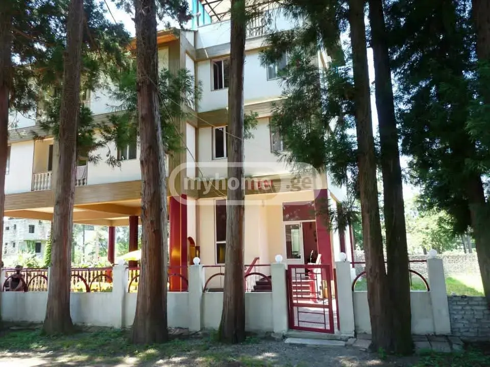 For Sale 10+ Room Sastumro Ozurgetis Munitsipalitetshi view 9
