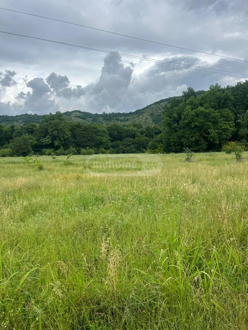 For Sale Sainvestitsio Land Plot Qvarlis Munitsipalitetshi view 2