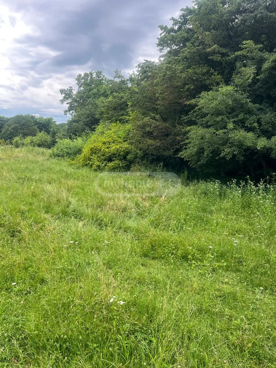 For Sale Sainvestitsio Land Plot Qvarlis Munitsipalitetshi view 6