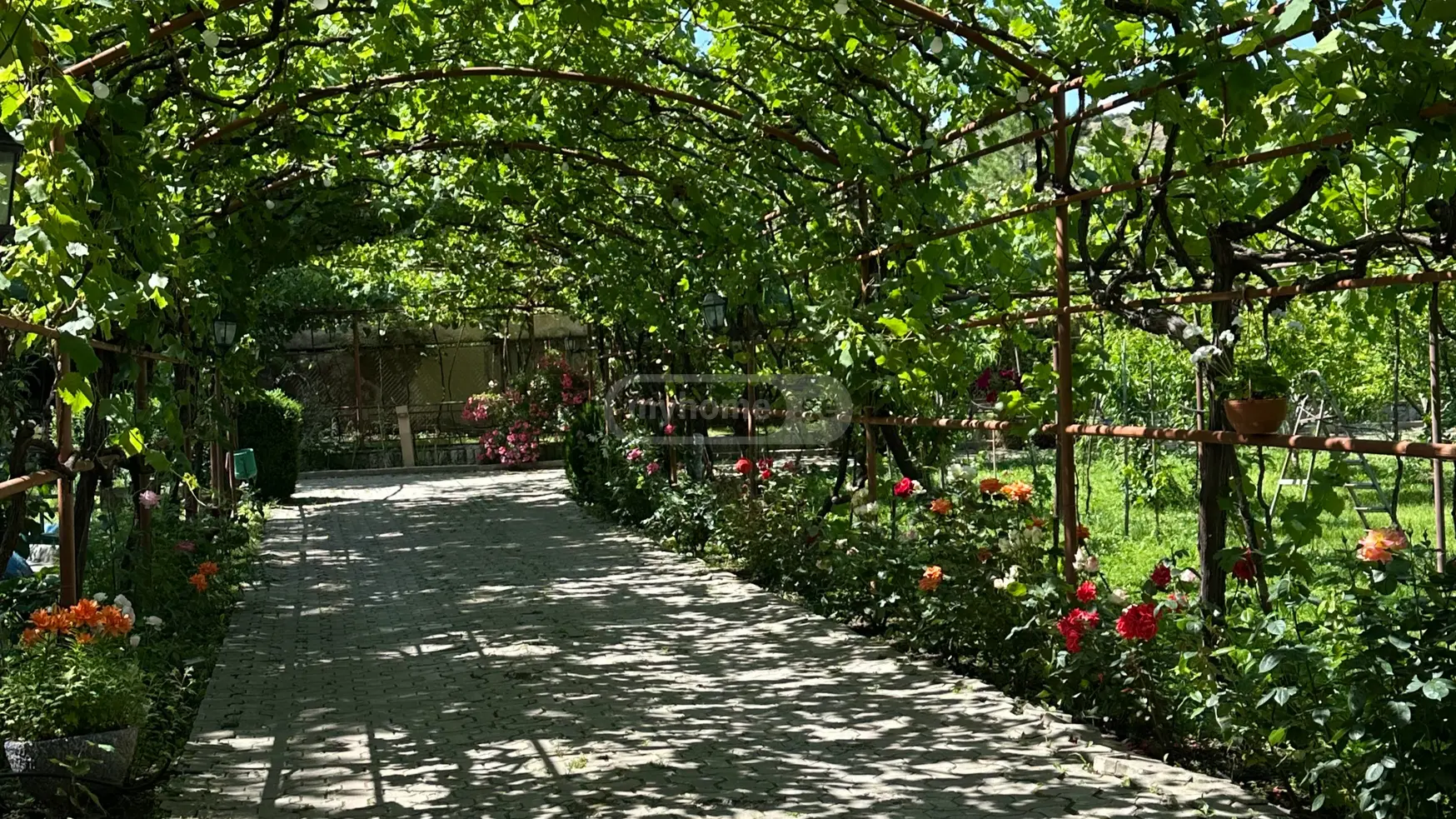 Daily Rent 8 Room Country House Gorshi view 8