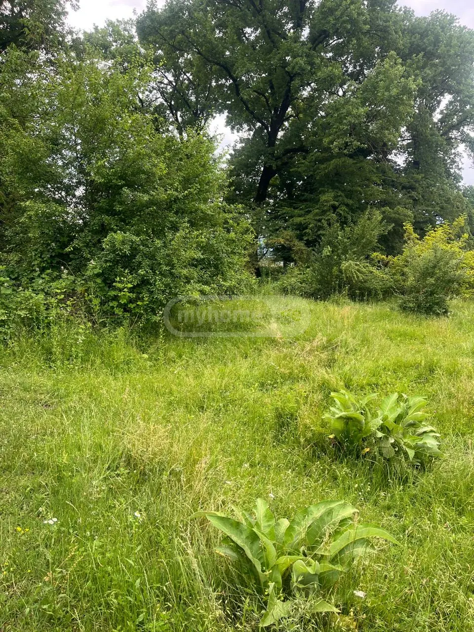 For Sale Sainvestitsio Land Plot Qvarlis Munitsipalitetshi view 5
