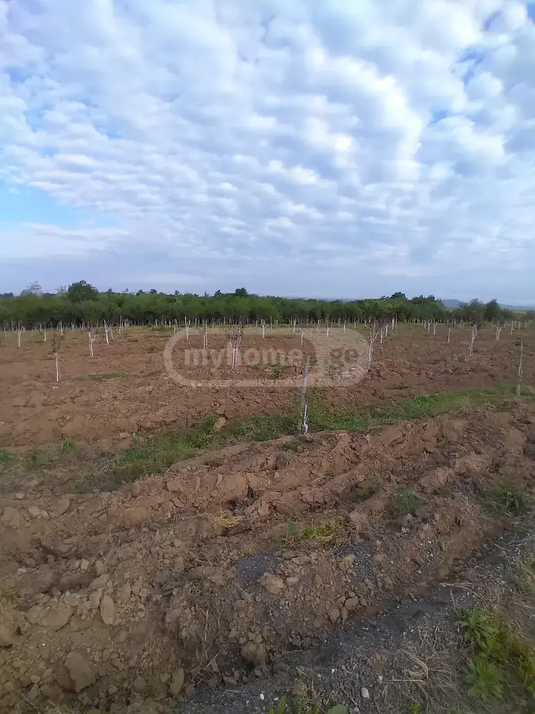 Продажа Земля / участок в Senakshi view 5