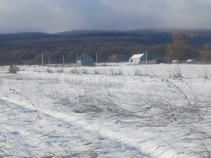 For Sale Sasoplo-Sameurneo Land Plot Tianetis Munitsipalitetshi view 2