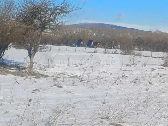 For Sale Sasoplo-Sameurneo Land Plot Tianetis Munitsipalitetshi view 1