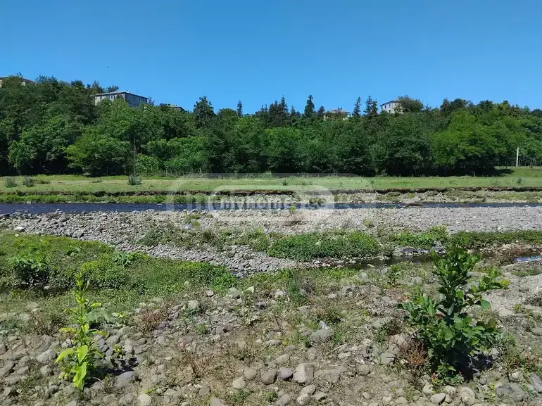 For Sale Sasoplo-Sameurneo Land Plot Kobuletis Munitsipalitetshi view 4