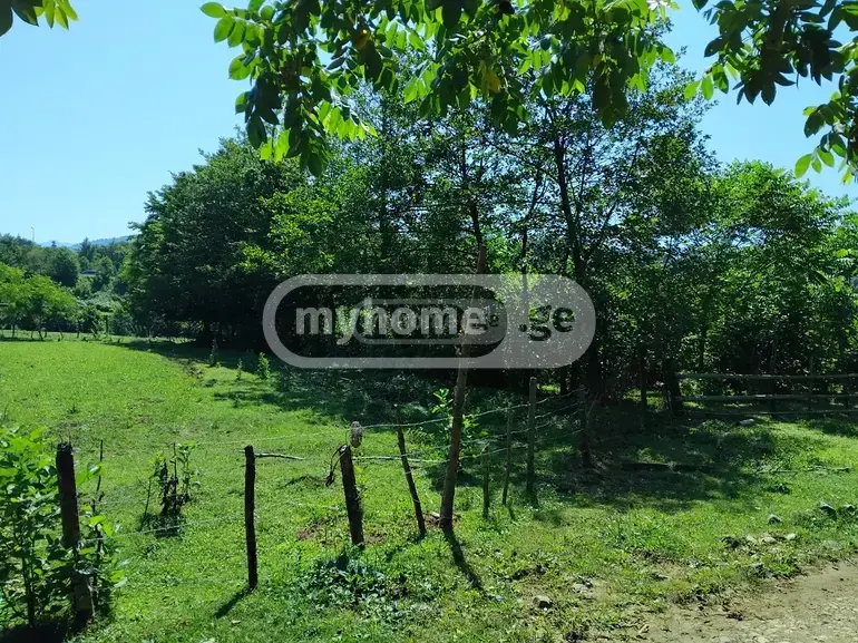 For Sale Sasoplo-Sameurneo Land Plot Kobuletis Munitsipalitetshi view 6