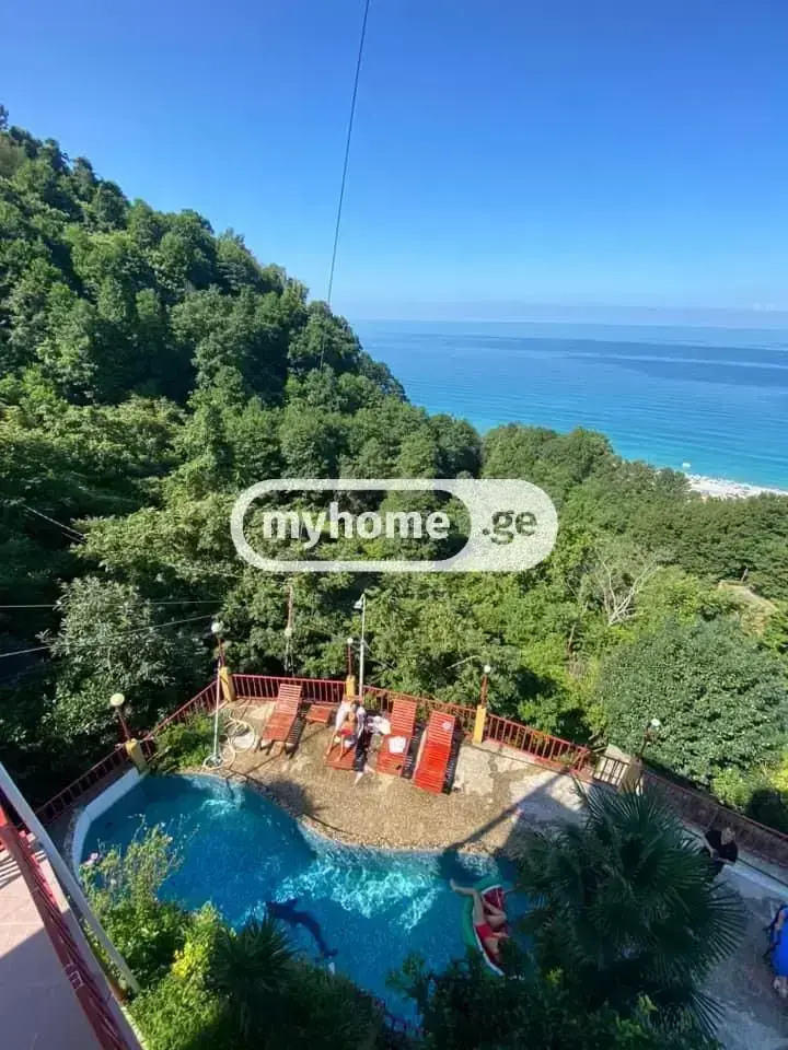Daily Rent 10+ Room Country House In Batumi view 13