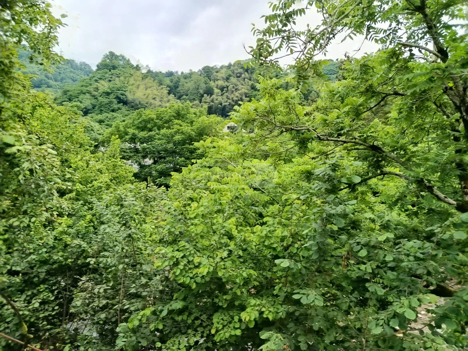 For Rent 2 Room Private House view 9