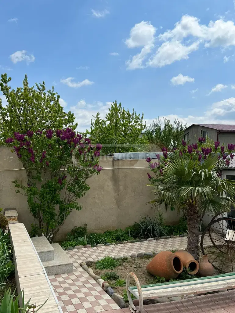 Daily Rent 3 Room Country House view 25