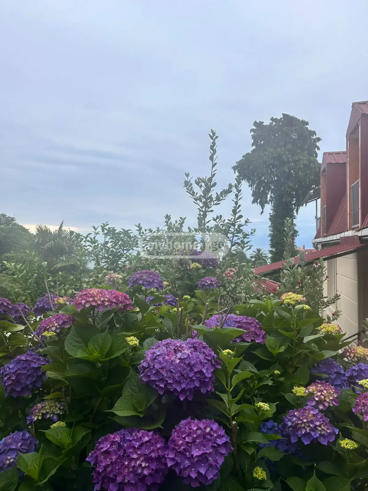 For Rent 1 Room Apartment view 6