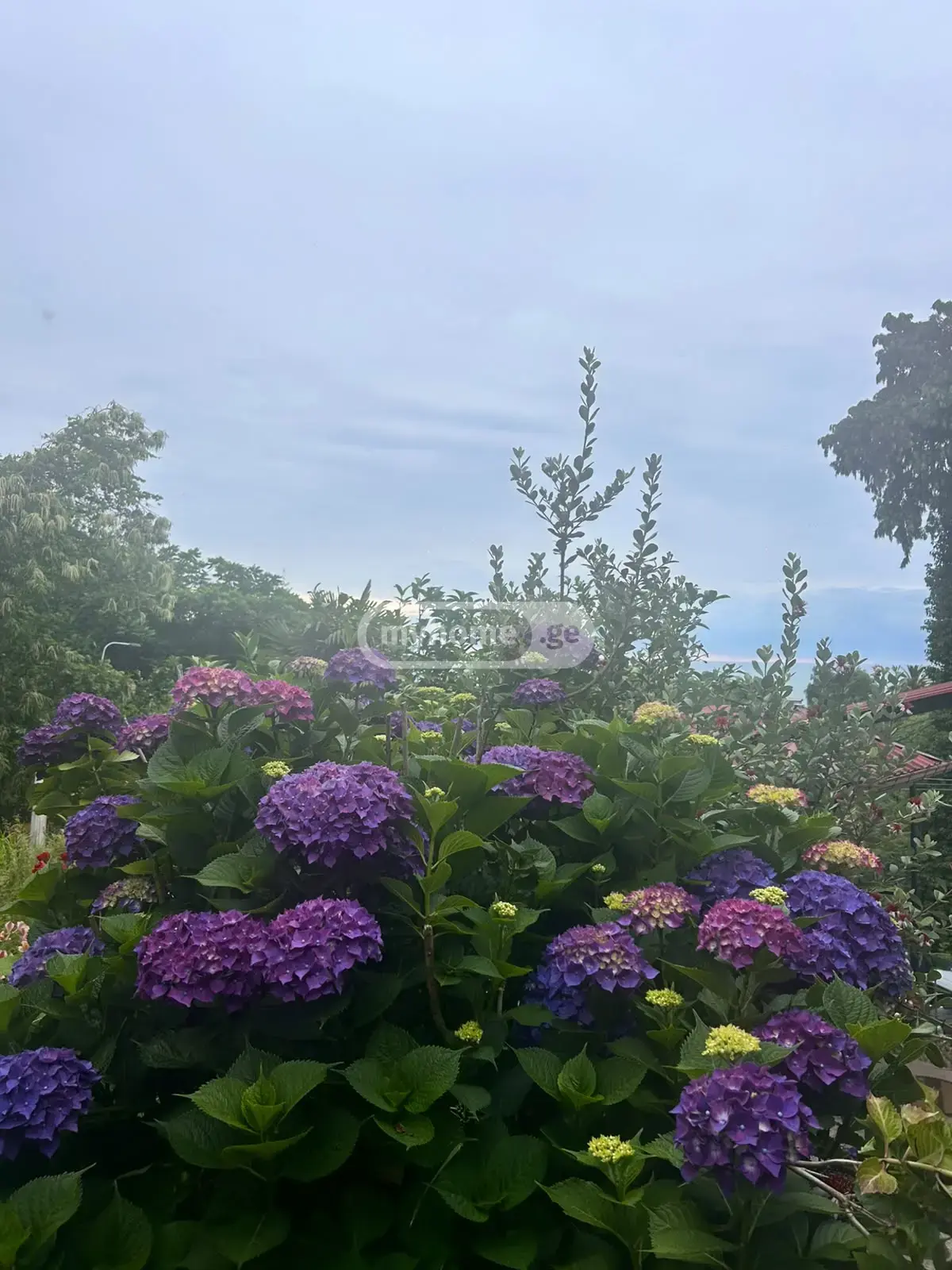 For Rent 1 Room Apartment view 7