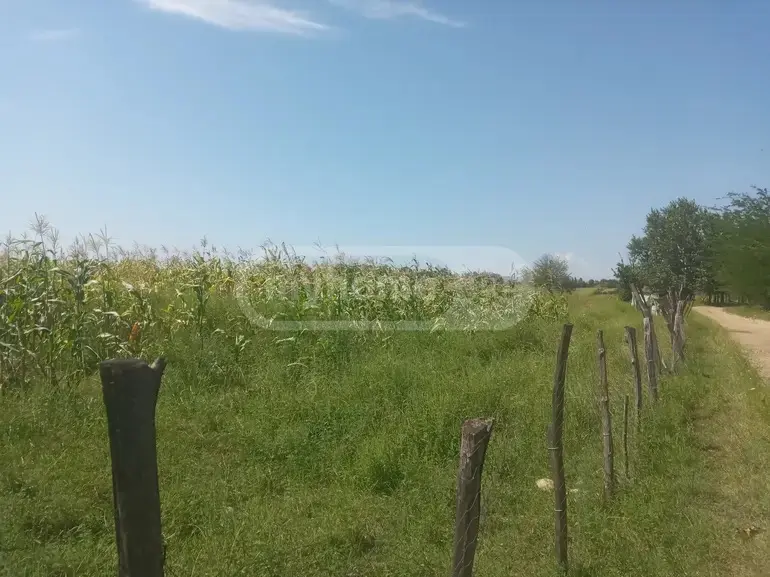 იყიდება მიწა / ნაკვეთი Zestaponshiში view 2