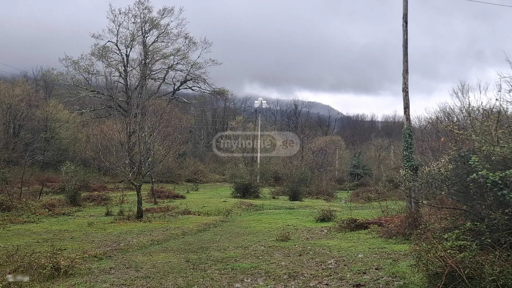 For Sale Sasoplo-Sameurneo Land Plot Kutaisshi view 1