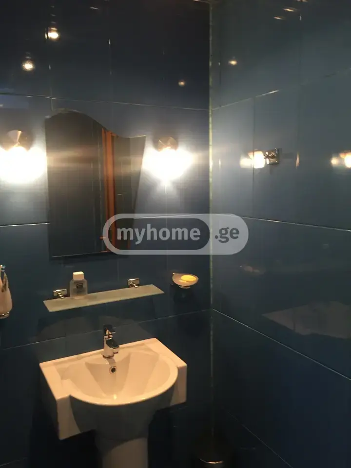 For Rent Saopise Commercial Space In Batumi view 14