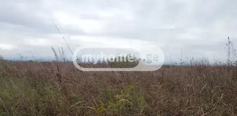 იყიდება მიწა / ნაკვეთი Qvarlis Munitsipalitetshiში view 5