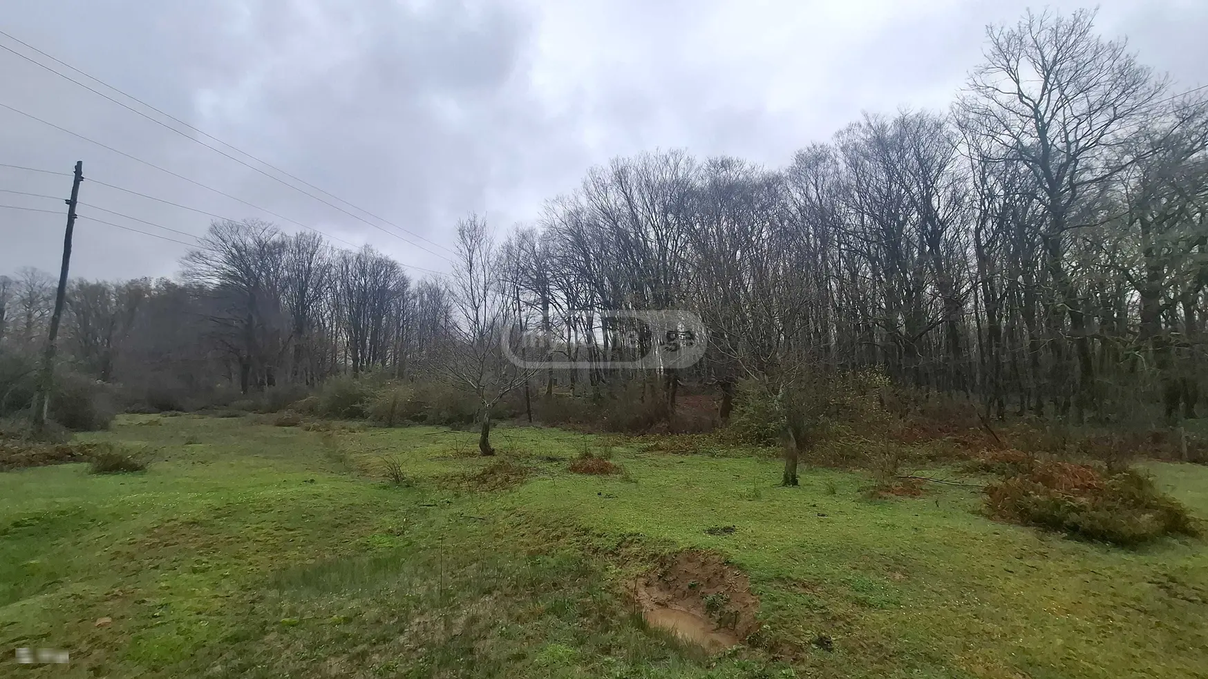 For Sale Sasoplo-Sameurneo Land Plot Kutaisshi view 3