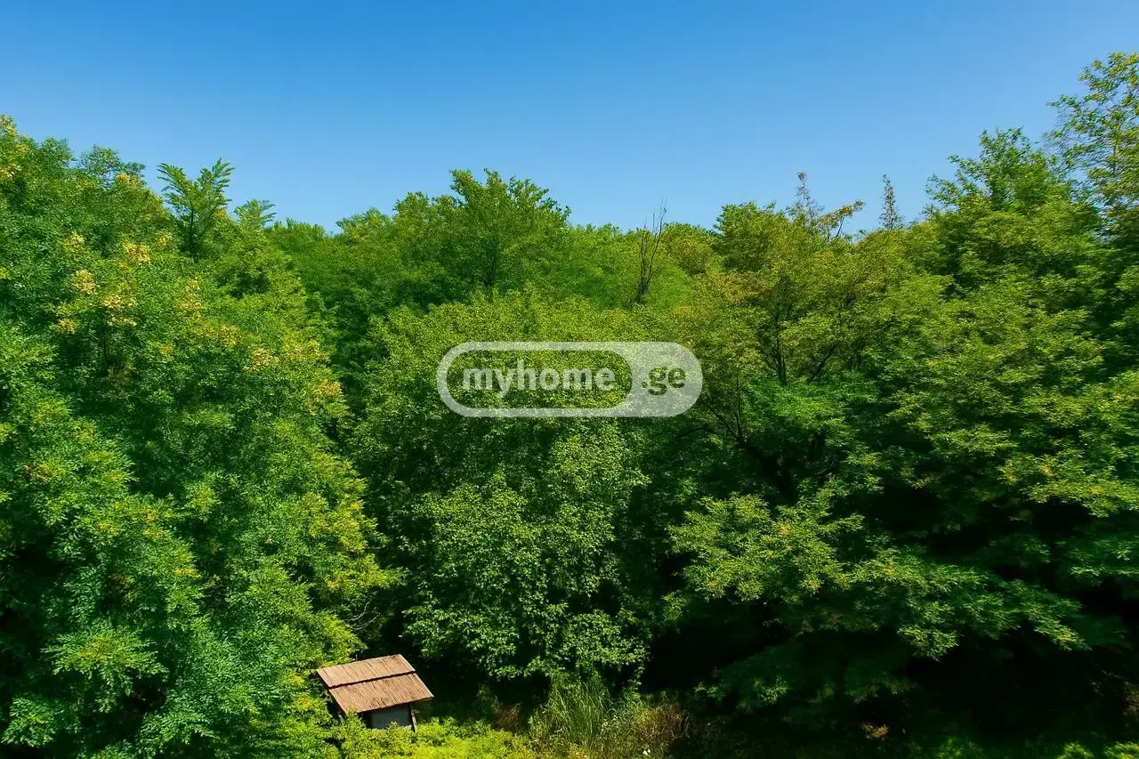 For Sale 10+ Room Private House Qvarelshi view 30