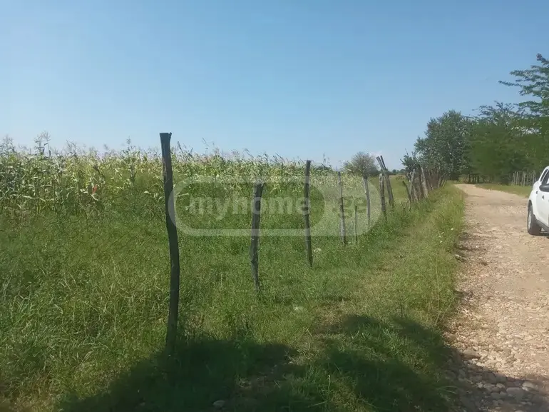 იყიდება მიწა / ნაკვეთი Zestaponshiში view 3