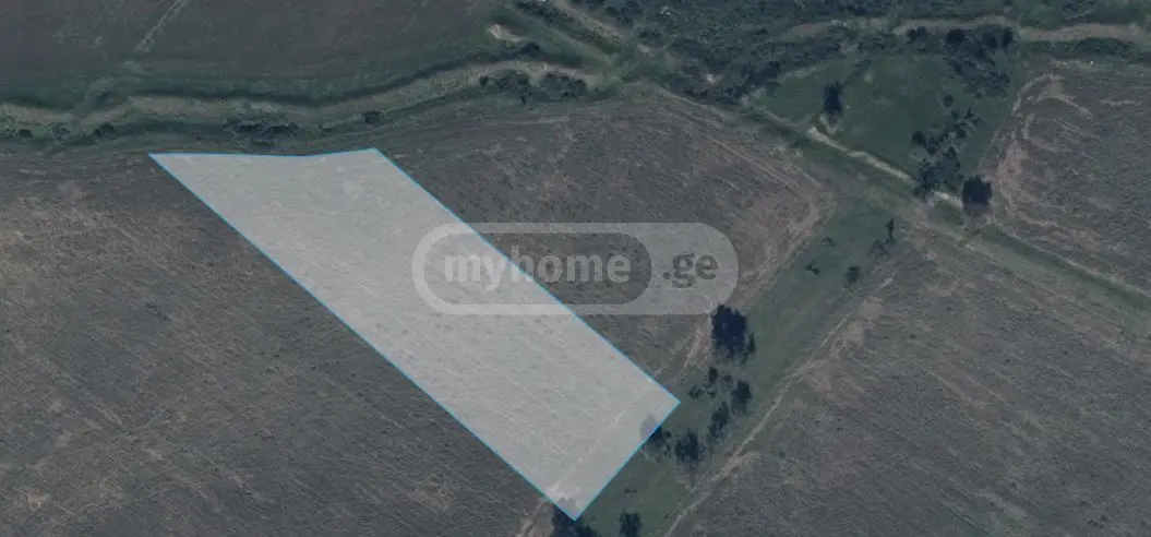 For Sale Sasoplo-Sameurneo Land Plot Gardabnis Munitsipalitetshi view 1