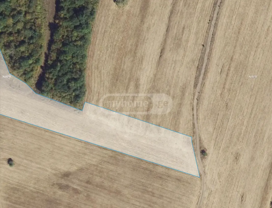 For Sale Sasoplo-Sameurneo Land Plot Dushetis Munitsipalitetshi view 2