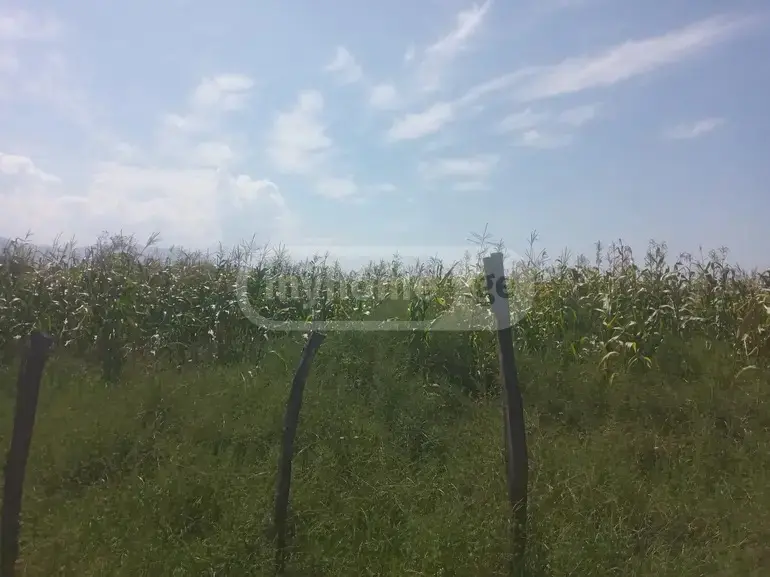 იყიდება მიწა / ნაკვეთი Zestaponshiში view 1