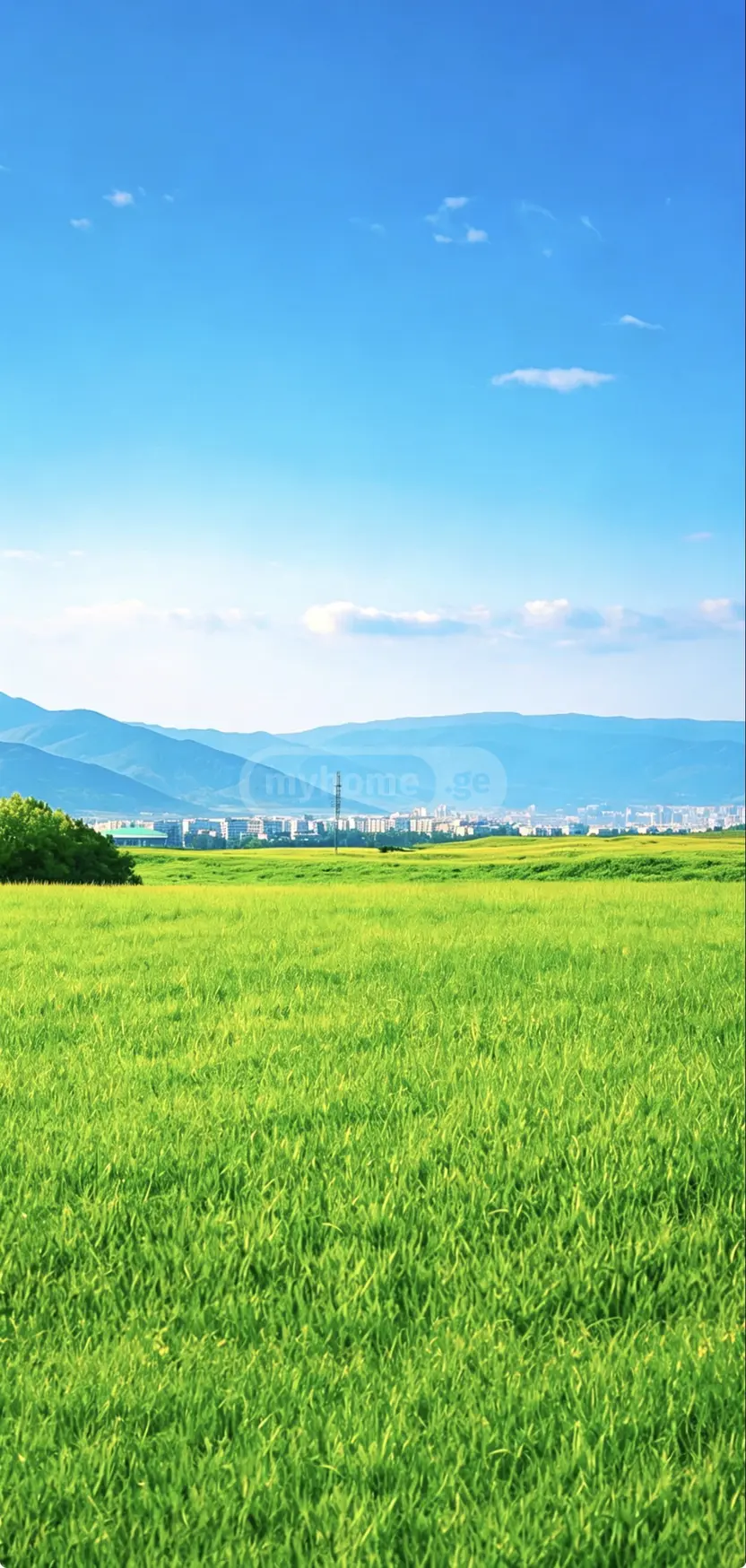 For Sale Sasoplo-Sameurneo Land Plot Gardabnis Munitsipalitetshi view 1