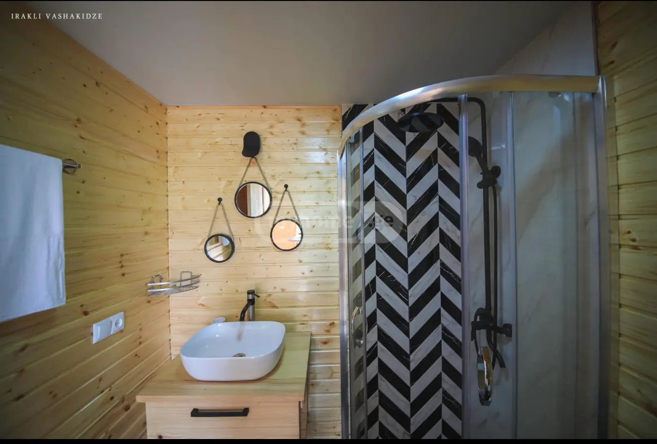 For Sale 5 Room Private House Kutaisshi view 16