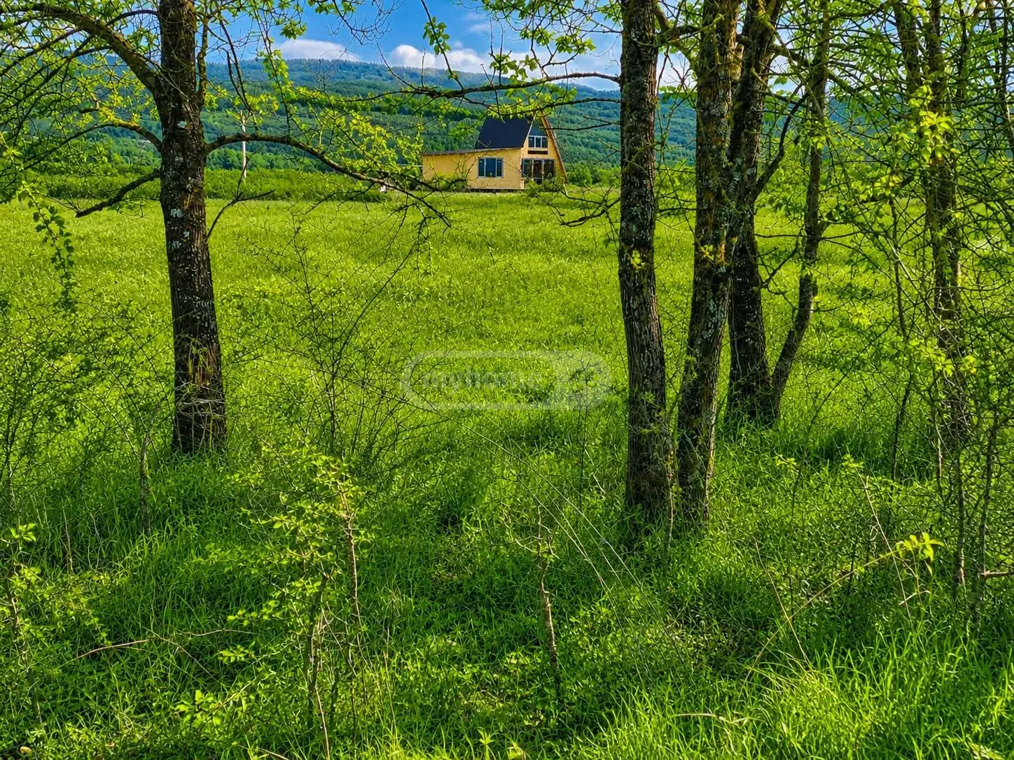 Продажа Земля / участок в Tianetis Munitsipalitetshi view 1