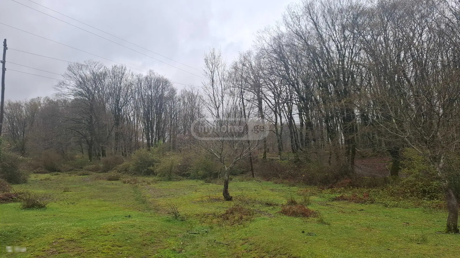 For Sale Sasoplo-Sameurneo Land Plot Kutaisshi view 2