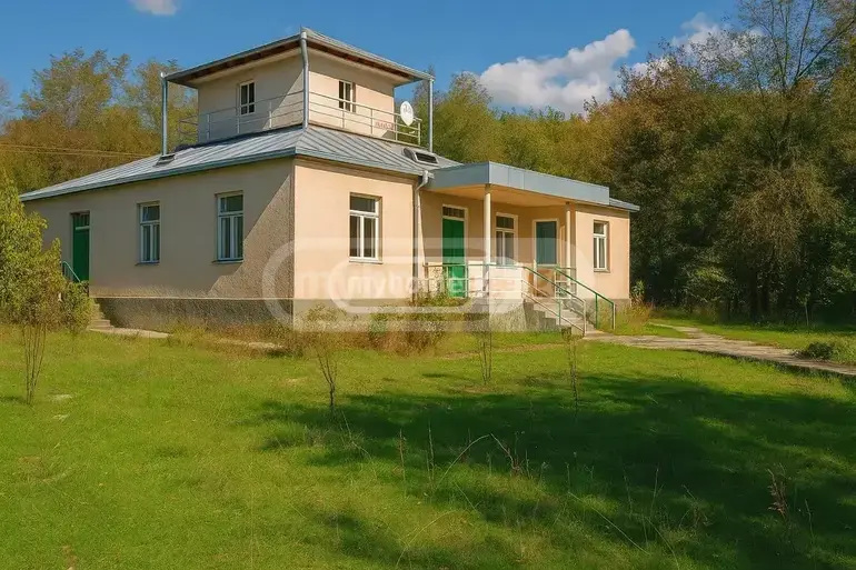 For Sale 10+ Room Private House Qvarelshi view 46